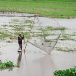 The Role of Mangroves and Wetlands in Water Conservation